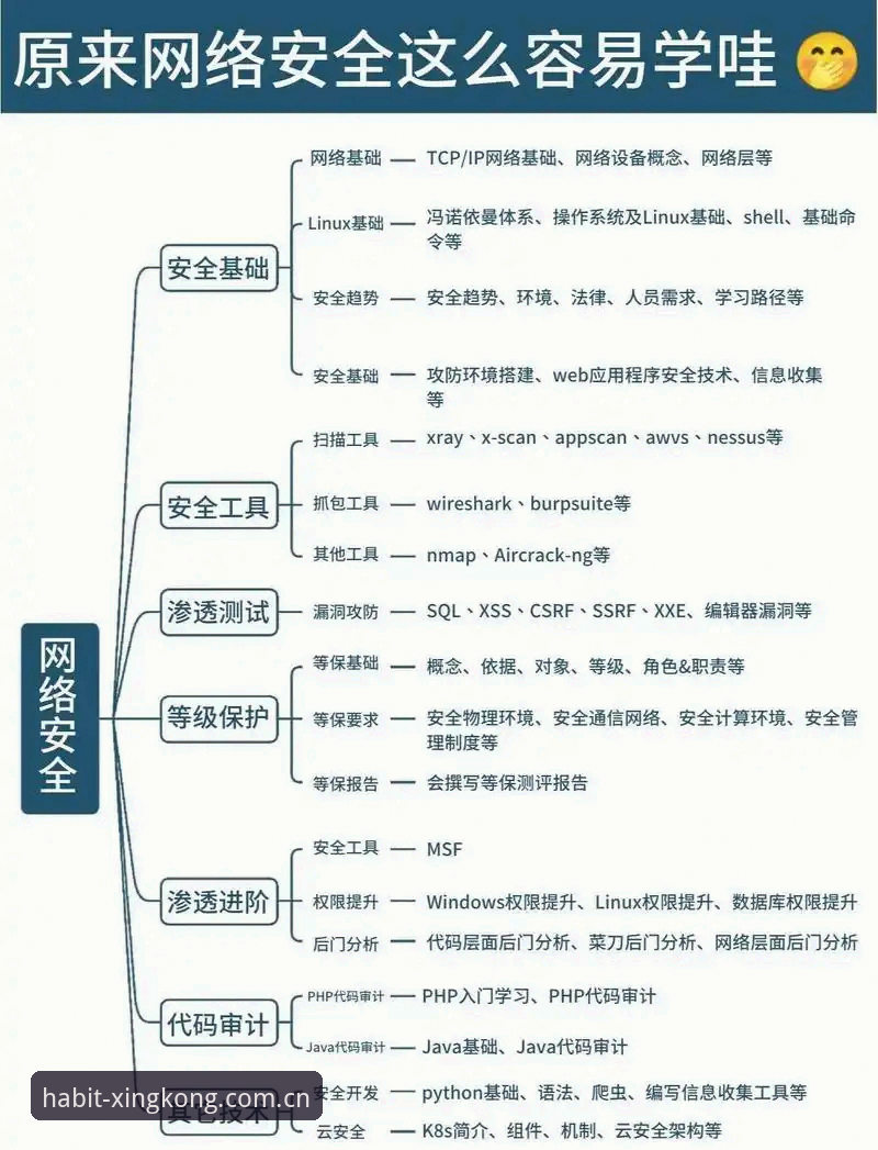 彻底搞懂浏览习惯X站CN数据源：从入口到稳定使用的实用指南